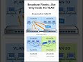Broadcasts Don’t Disappear—VLANs Redefine “Everyone” #cisco #ccna