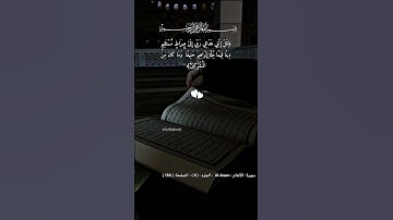 قُلْ إِنَّنِي هَدَانِي رَبِّي إِلَىٰ صِرَاطٍ مُّسْتَقِيمٍ دِينًا #قرآن #ارح_سمعك #تلاوة_خاشعة