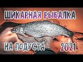 Отличный Клёв Подуста в Конце Января...Зимняя Рыбалка 2021...Мерные Красавцы на Мормышку