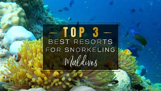 SNORKELING IN THE MALDIVES 2022  The 3 Best Resorts with INSANE House Reefs to Snorkel (4K UHD)