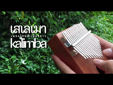 เสเลเมา [เพลงสำเนียงลาว] | kalimba