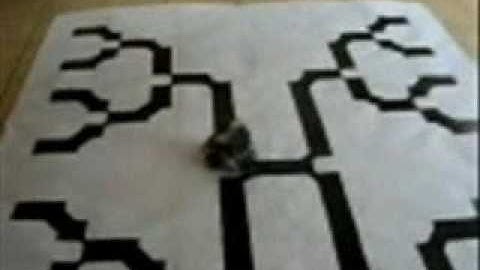 Robotlego resuelve laberinto GrupoLE