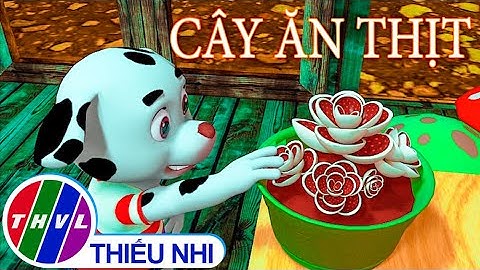 Cây ăn thịt | Chuyện của Đốm