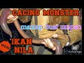 Mancing ikan nila pakek cacing monsters,apa yang terjadi Wormate.io