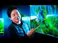 PLANTED TANK LAYOUT MASTERCLASS WITH TAKAYUKI FUKADA