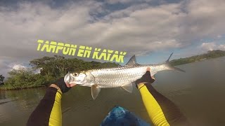 [Pêche en Guadeloupe] Tarpon Guadeloupe