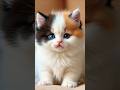 🩷ONI-PAN Singing kitten🩷 #cat #cutekitten #cute #tiere #sweetcat #lipsync