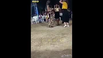 رقص ليبي مهرجان متلوم علي 