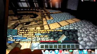 Trouble in minevil with crazytiger and friends