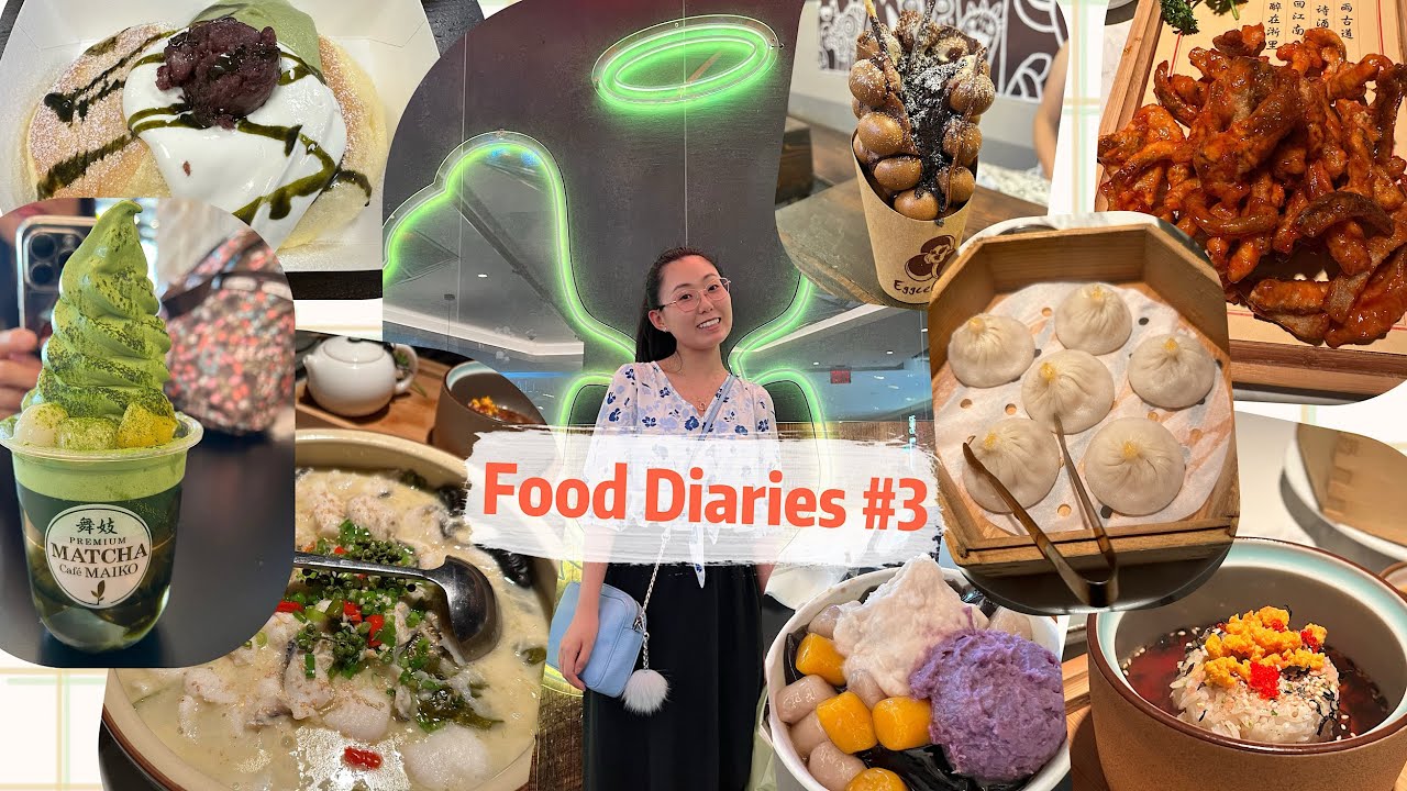 Food Vlog 03 Lot of DESSERTS in Flushing Queens! Matcha Maiko, Meet