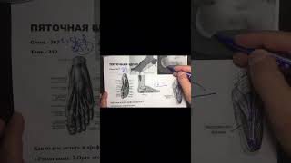 Обучение массажу и мануальным техникам. Пиши в личку
