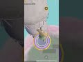 This video was recorded by PUBG mobile wow mode 