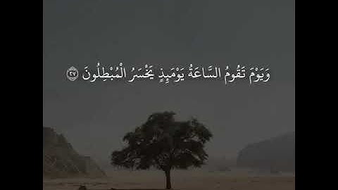 مصدر  الطمأنينه والراحه القارئ عبدالله الموسى سورة الجاثيه