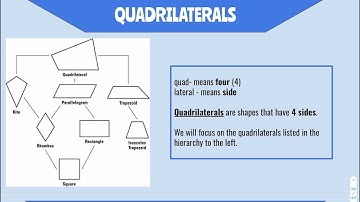 Quadrilateral Hierarchy (CP)