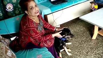 Class 1|EVS|Lesson 12|Animal World|Part 1|By Roseline David