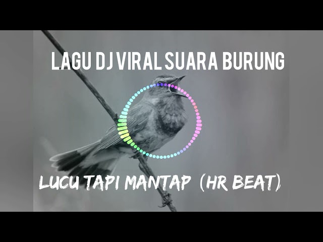 Lagu Dj Viral 2021 Suara Burung Kalau Rindu (HR Beat) class=