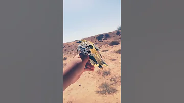 بوصفير جوالمنتر 