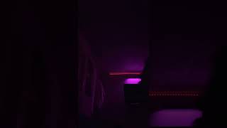 Hey Get Out My Sandwich No