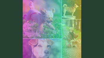 Pulsating Ambiance for Idle Pups