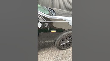 Insignia Grand Sport smoked LED Sequential side Indicators IMG 8518