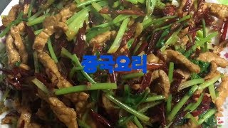 샹라러우스香辣肉丝(香菜多多）/중국요리/Spicy Shredded Pork with Coriander