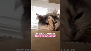 профилактика очень важна!артикул на гель: #WW329593 [копируй и вставляй на wb]