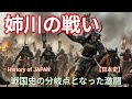 「豊臣兄弟」に学ぶ日本史 姉川の戦い 当初は浅井朝倉軍が有利に進めたが徳川軍のある奇襲が戦況を大きく変化させ織田信長を勝利に導く History of JAPAN