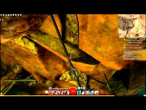 [GW2]013 - Succès Chasse à l'or - Insigne doré perdu #8 / Go for the Gold - Golden lost badges #8 HD