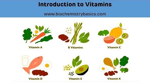 Introduction To Vitamins || Vitamins Biochemistry || Vitamins