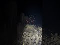 廃遊園地 #心霊配信 #心霊