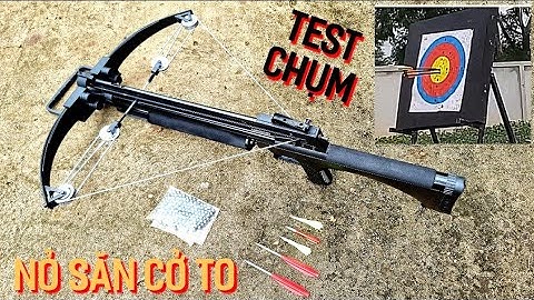 TEST ĐỘ CHỤM NỎ SĂN CỞ TO ĐẠI ƯNG VƯƠNG BẮN BI VÀ MŨI TÊN | 8 TRIỆU
