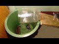 How to Make Bucket Mouse Trap - Simple Homemade Mouse Trap