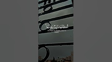 القرآن الكريم تلاوه رائعه 🥰 #اكسبلور #المصحف #القرآن_الكريم #حالات_واتس #تيك_توك #القزابري #لايك