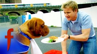 Gordon Ramsay's The F Word Season 2 Episode 2 | Extended Highlights 1