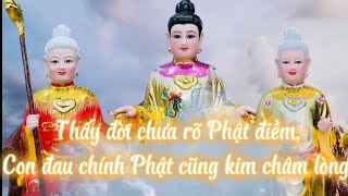 Ngàn vàng giá mấy con ơi! Không bằng cứu được một người thế gian. Liệu lường đến nát tim gan.