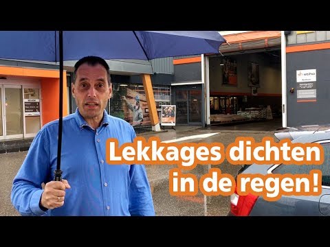 Video: Hoe was je verse eieren voor het koken?