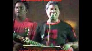 Sunflower New Show Part 3