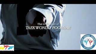 Taeguk Taekwondo Step by Step of Taekwondo @NatGeo @TNTSportsBR @cokestudio @seemaahmadi1137