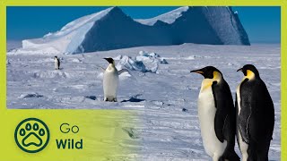 Days of Eternal Light, Antarctica | Fascinating Places | Go Wild