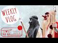 Cozy Winter Week in Tokyo ❄️ Tengu Festival, Craft Shopping & Snow