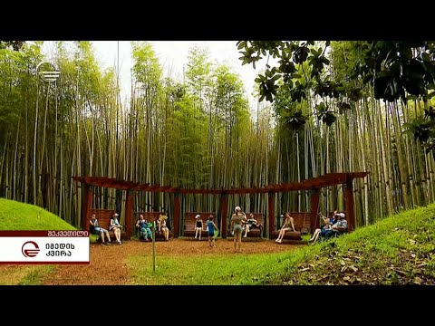 გურიის ახალი სიცოცხლე | შეკვეთილი