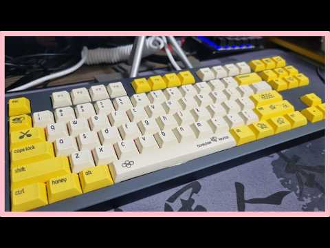 몬스타기어 XO V1 욕 홀리판다 타건 | Monstargear XO V1 YOK Holypanda Typing Test | MV7