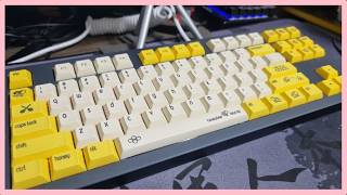 몬스타기어 XO V1 욕 홀리판다 타건 | Monstargear XO V1 YOK Holypanda Typing Test | MV7
