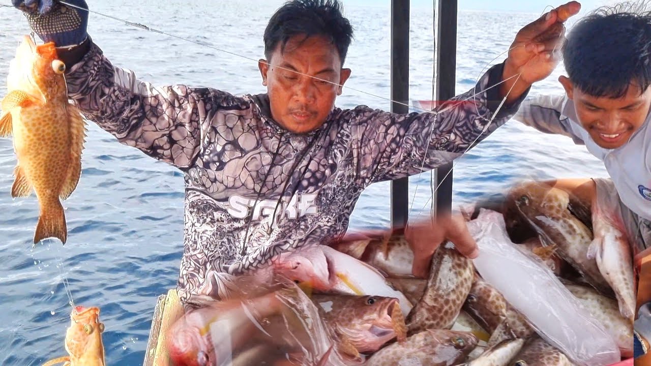 SAMBARAN IKAN KERAPU SAMPAI SEPERTI BATU BERATNYA DIKEDALAMAN 70 METER