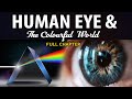 Human Eye and Colourful World  Full chapter  (Animation) | Class 10 Science Chapter 11 | CBSE