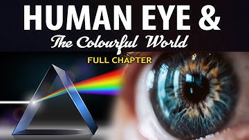 మానవ కన్ను మరియు రంగుల ప్రపంచం పూర్తి అధ్యాయం (యానిమేషన్) | క్లాస్ 10 సైన్స్ అధ్యాయం 11 | CBSE