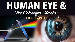 Human Eye and Colourful World  Full chapter  (Animation) | Class 10 Science Chapter 11 | CBSE screenshot 3