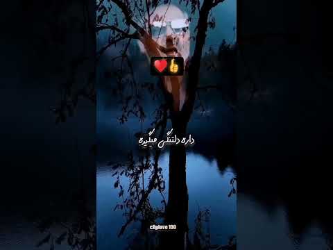 عنوان موسیقی چترها را خیس میکنه نم نم باران تو نیست از معین