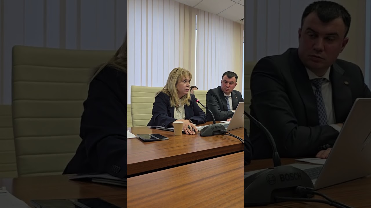 Anca Dragu la raport în parlament.