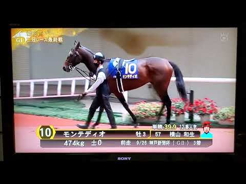 パドック　2021　菊花賞　3000m